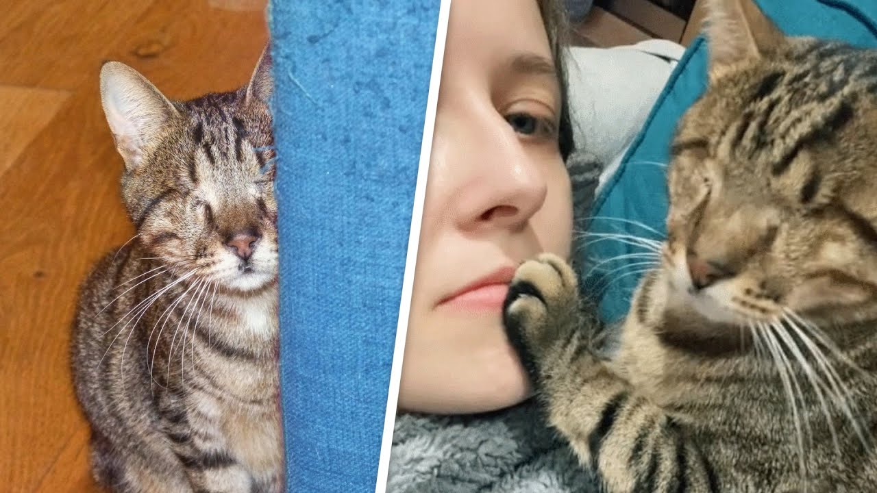 Woman Nervously Adopted A Blind Shelter Cat Story