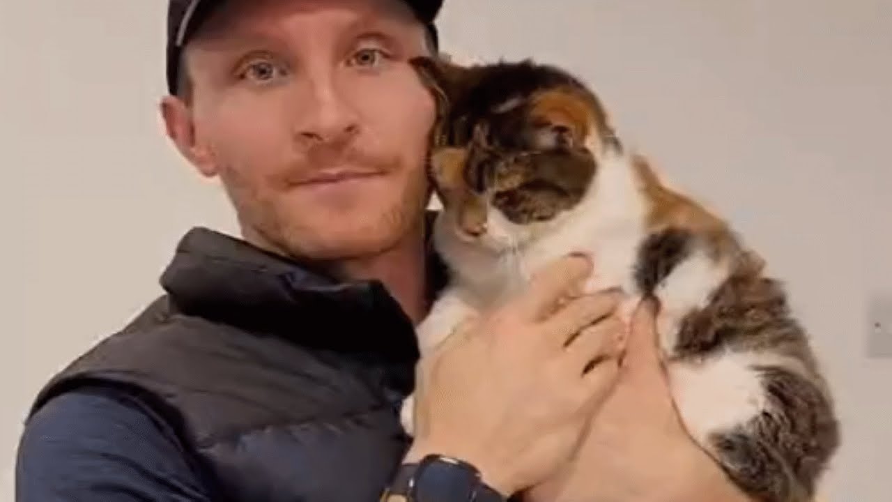 This Man Is Hopelessly Obsessed With A 23-year-old cat
