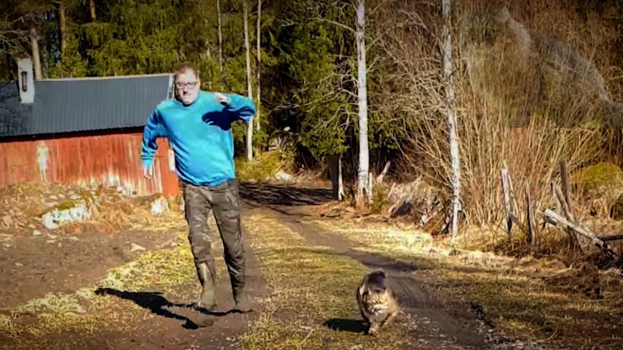 This Kitty Loves To Outrun Her Dad