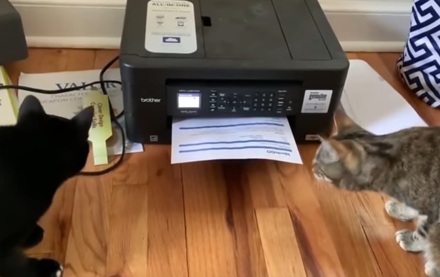 Two Curious Cats And APrinter