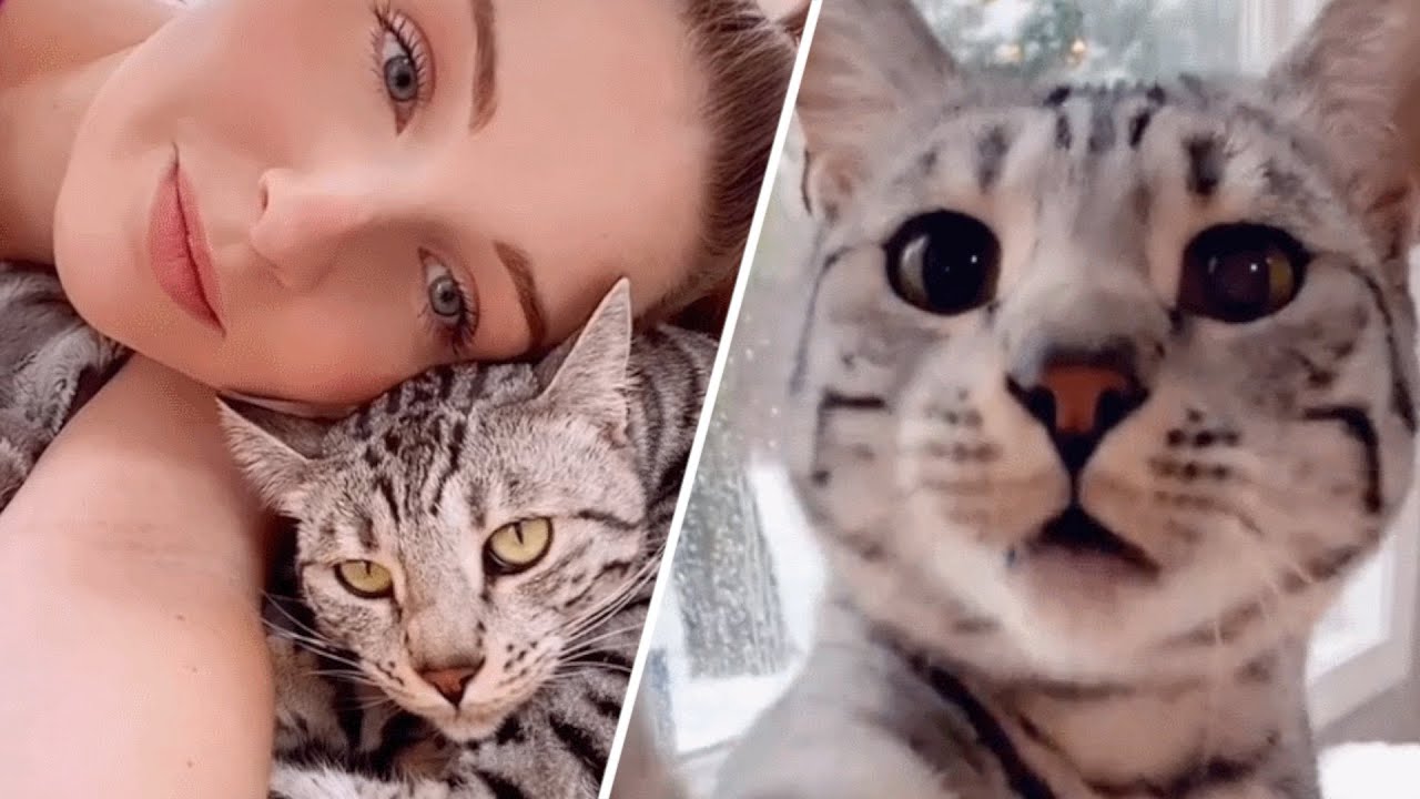 This Talkative Cat Keeps Lonely Mom Company