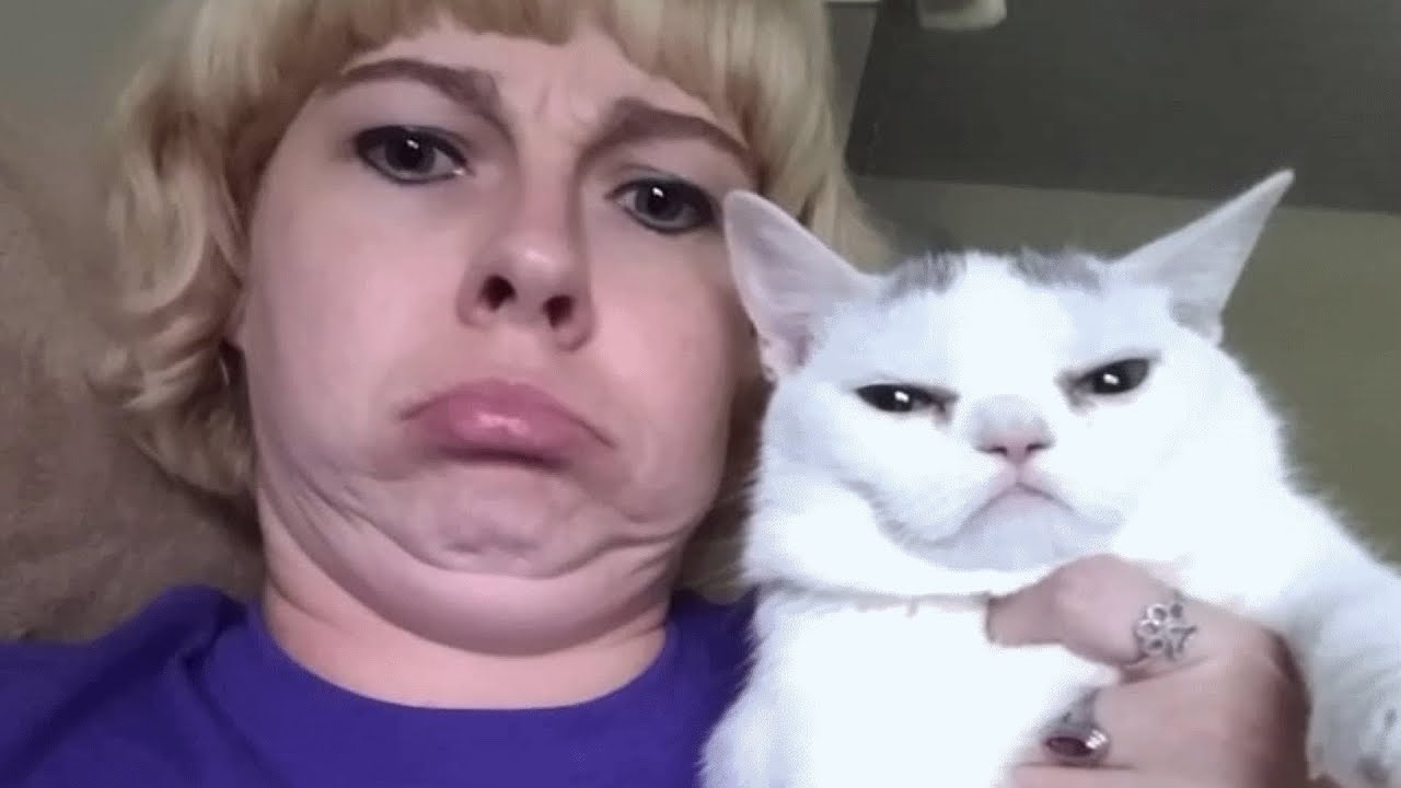 Woman Brings Home Cat And Discovers She Hates Mostly Everyone