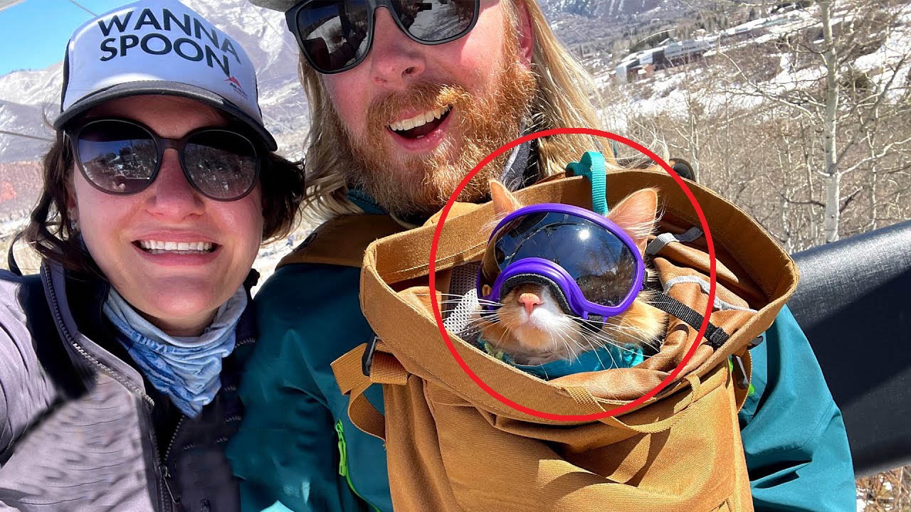 This cat loves skiing, paddle boarding, and hiking