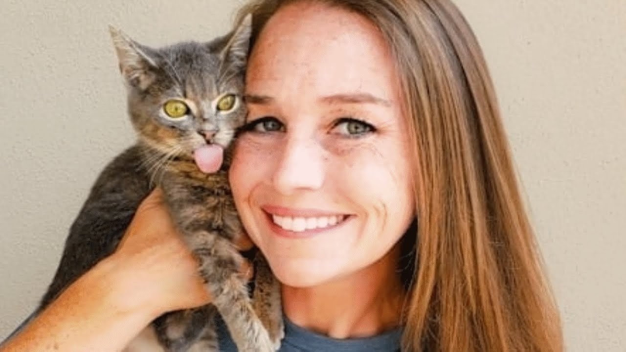 This Cat Was Dumped On The Street Then She Met A Good Person
