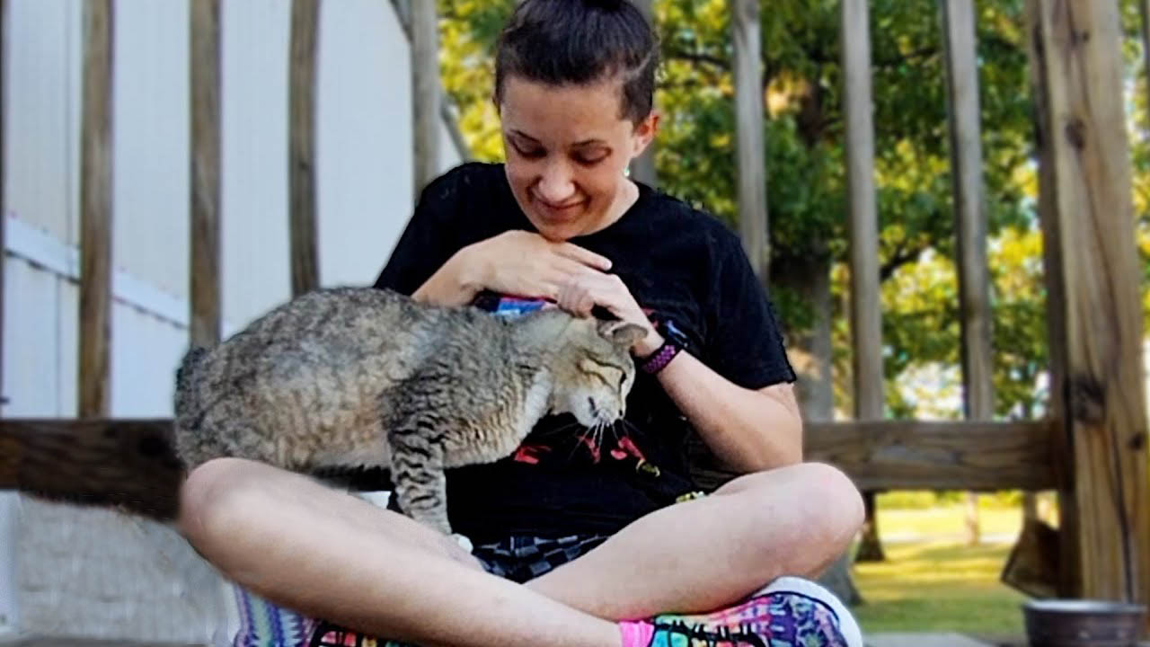 Woman is determined to gain this abandoned cat's trust and love