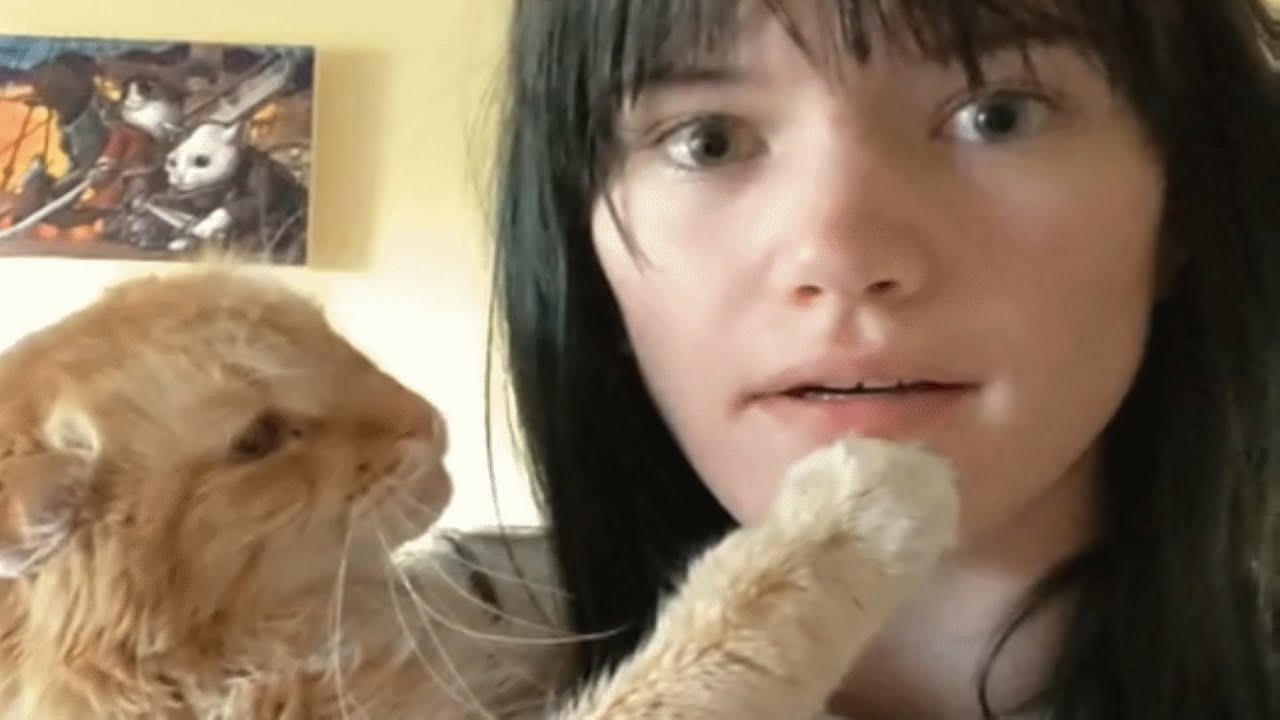 This Shy Rescue Cat  Really Loves Her New Owner