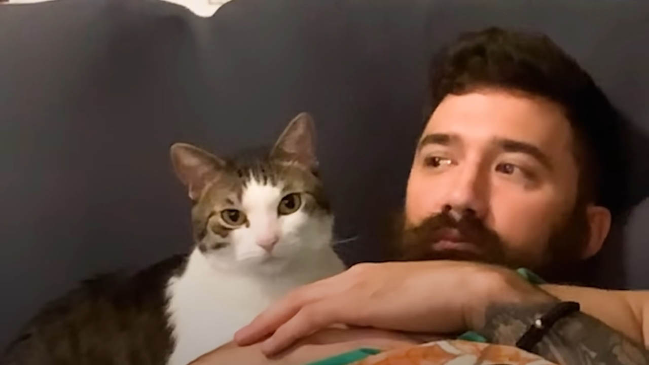 Woman feels like a third wheel in her husband and cat's relationship
