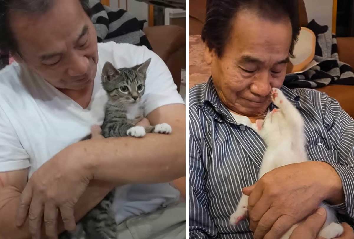 Dad never liked cats but he ended up helping foster 75 cats and kittens
