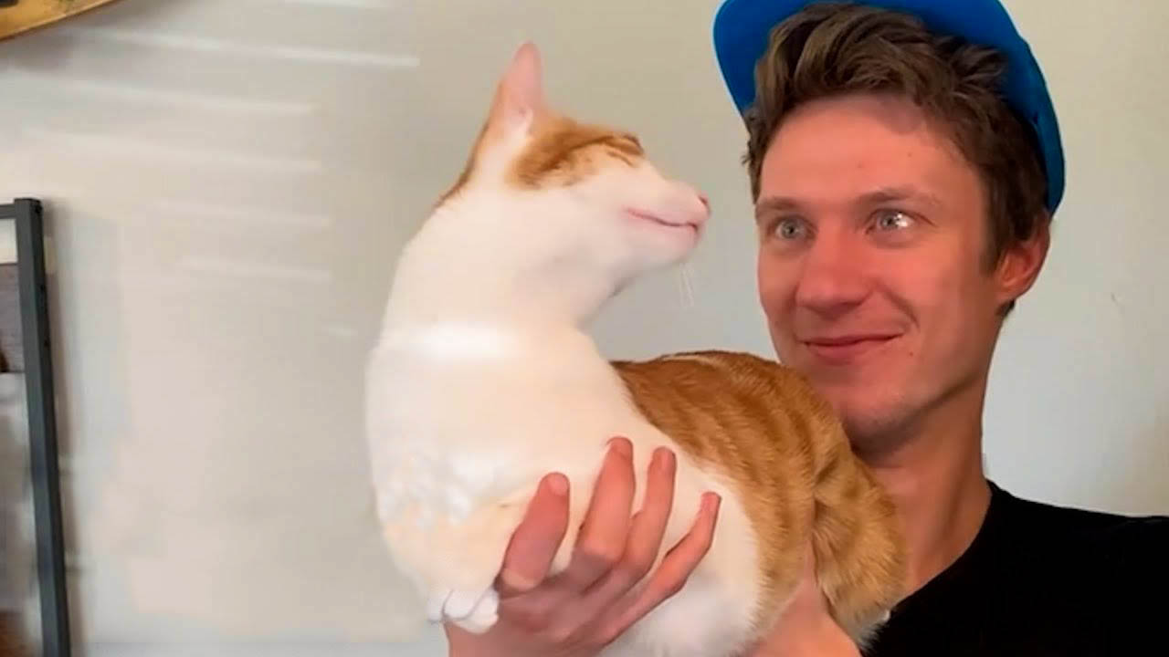 Cat absolutely loves his mom's boyfriend
