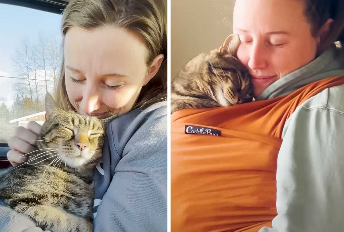 Senior cat became an adorable love bug after getting adopted from the shelter
