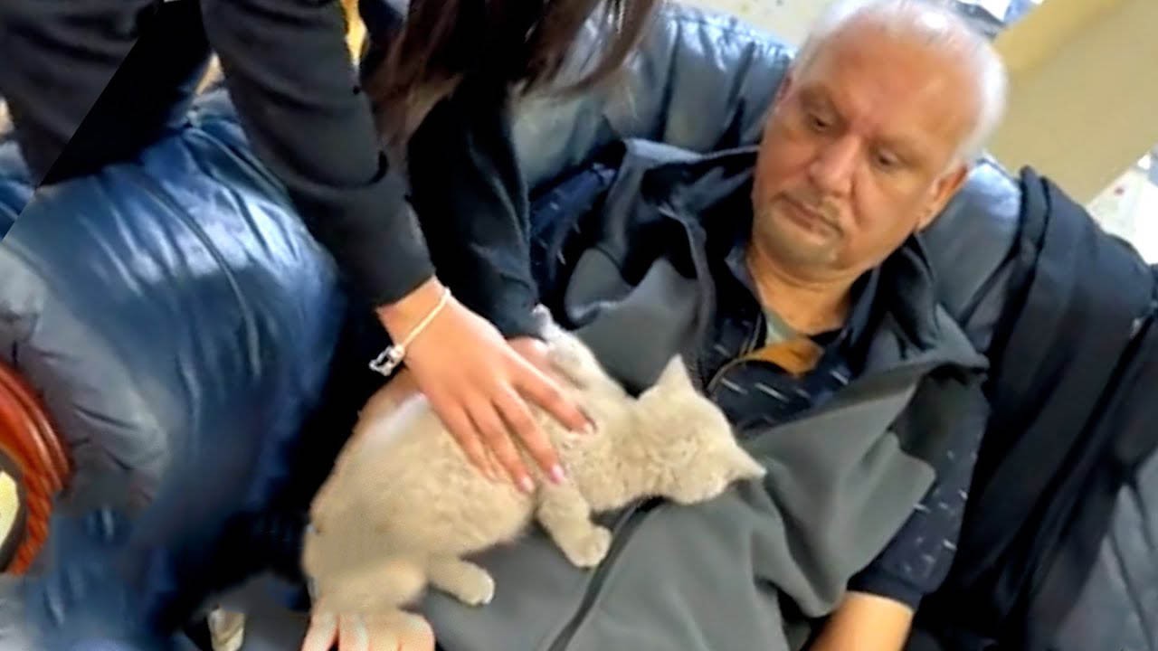 Dad doesn't want cats in his house until his son puts one in his arms.