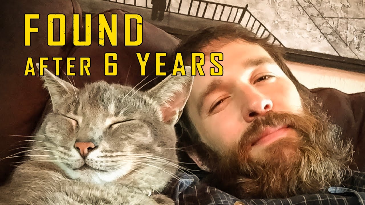 Man lost his cat and found him 6 years later
