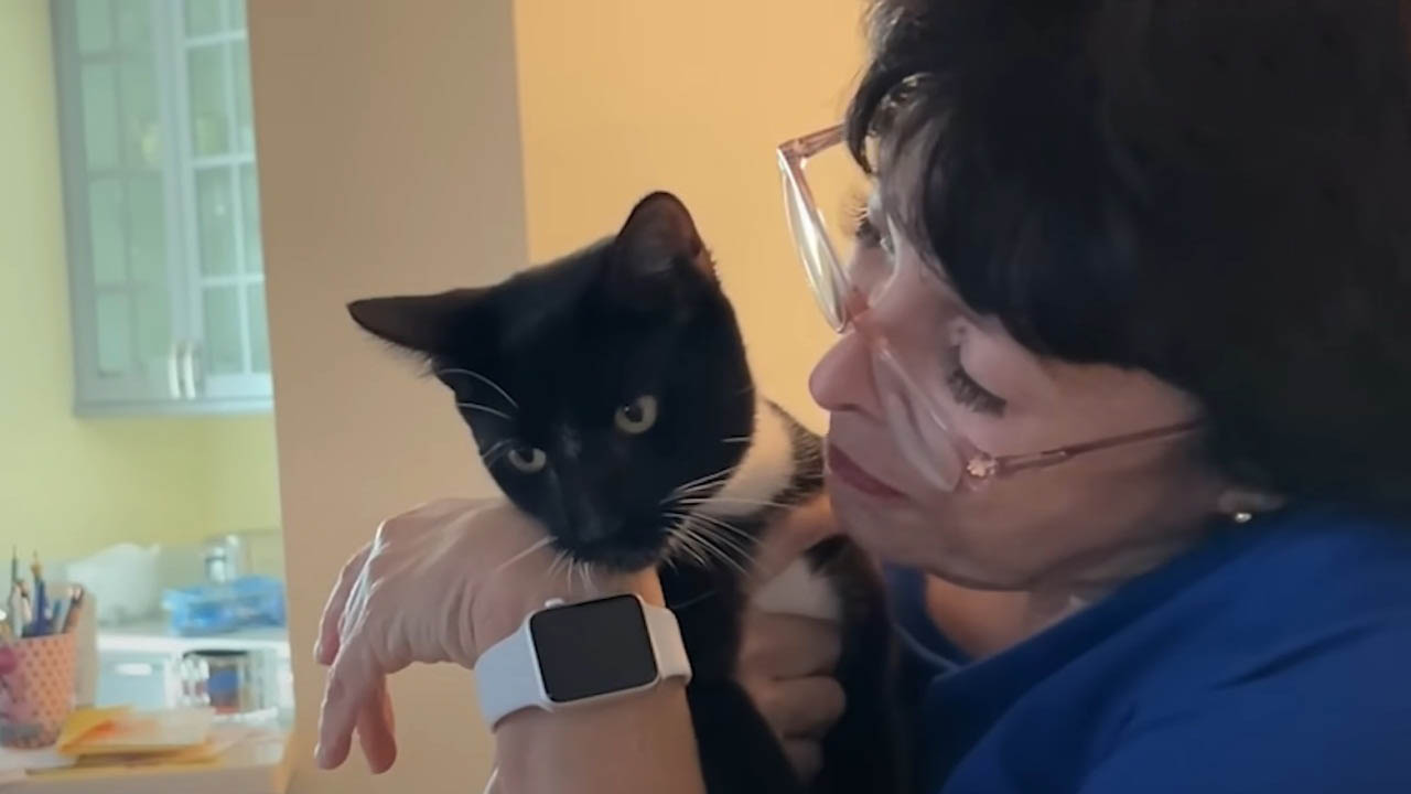 Mom adopts a cat then gets overwhelmed by how playful she is