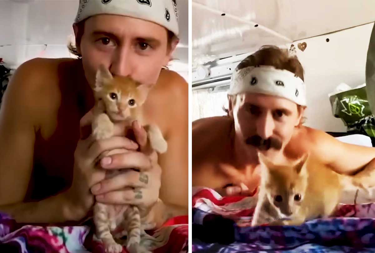 Guy rescues a kitten from an abandoned bus.
