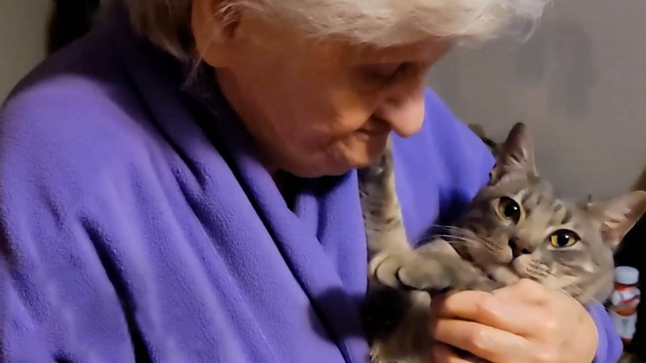 Grandma pretends to not like her cat