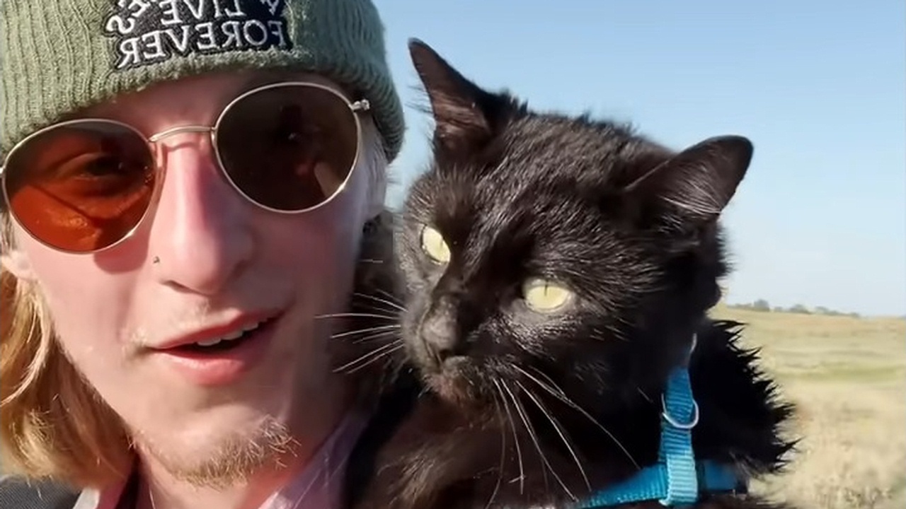 Guy finds an abandoned cat in a parking lot