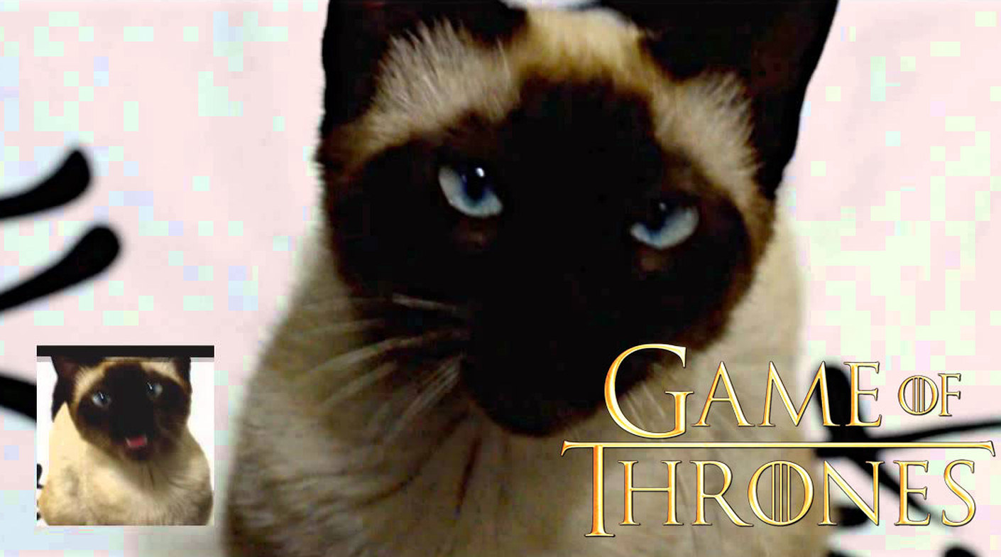 Game of Thrones theme song - Cat version