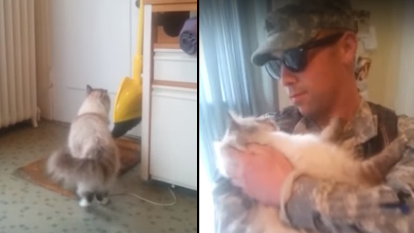 Soldier Welcomed Home by Excited Cat