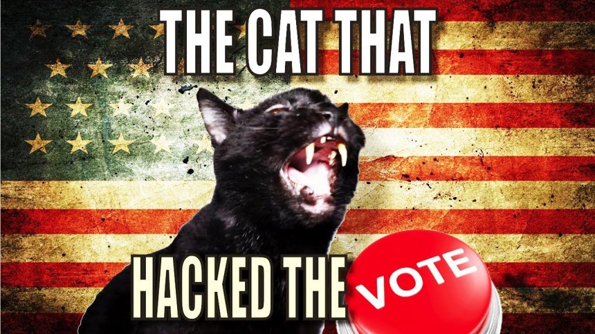 Talking Kitty Cat - The Cat That Hacked The Votes