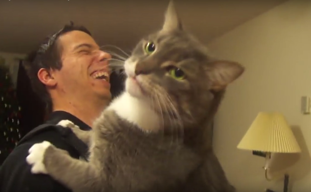 This cat uncontrollably licks everything when you scratch it