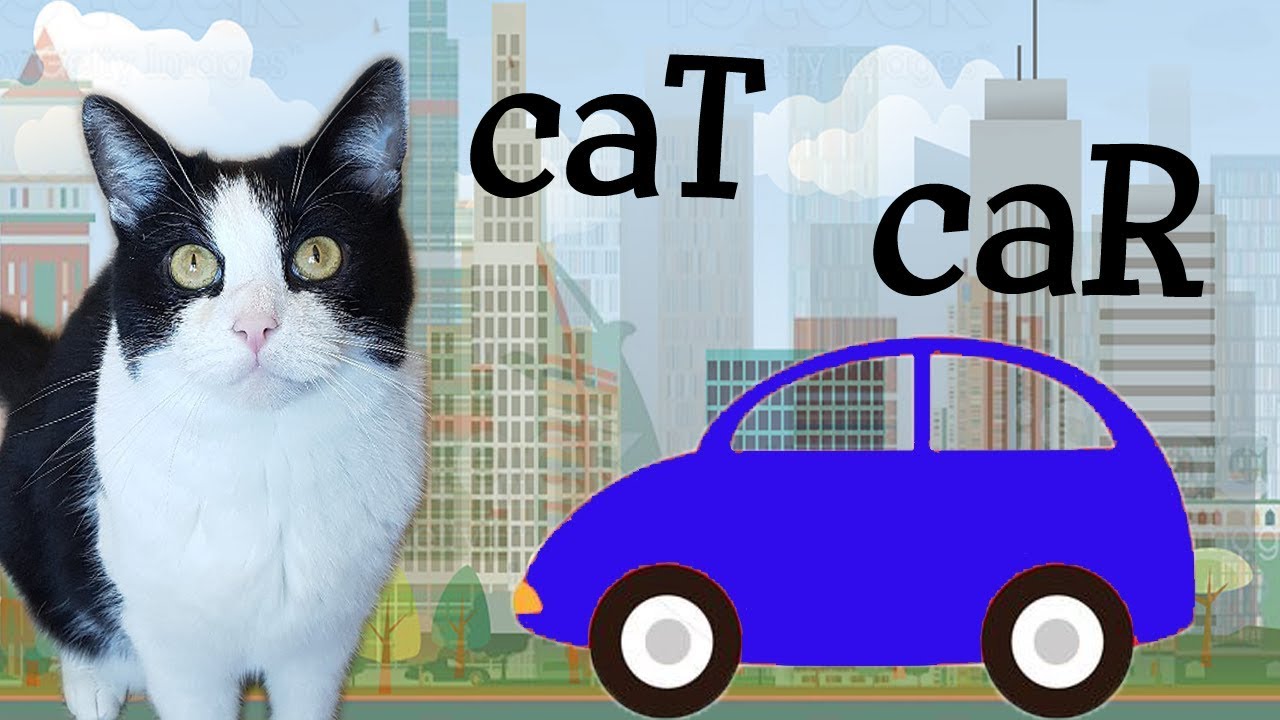 Similar features between a cat and a car