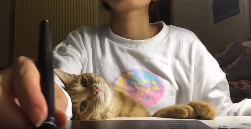 Cat Tries to Grab Pen from Artist