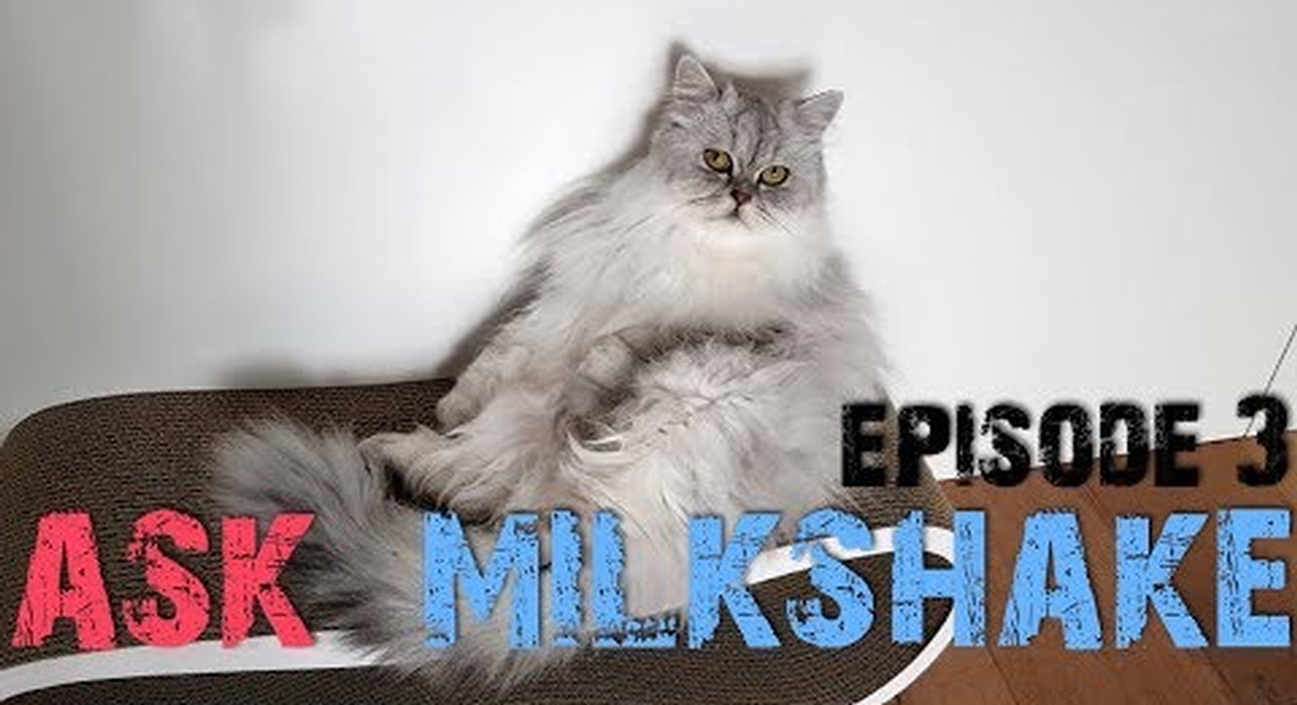 ASK MILKSHAKE Episode 3 - What Is Time?