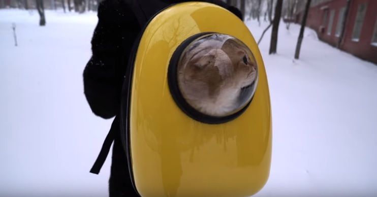 Hosico The Astronaut Cat