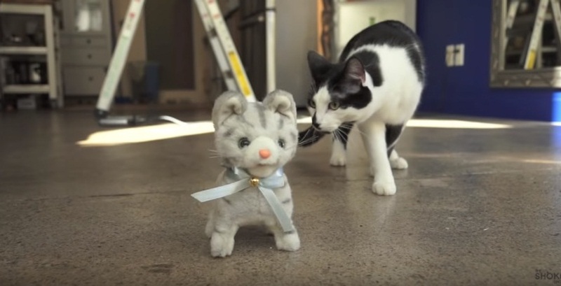 Funny Cat Walking Toy Kitten