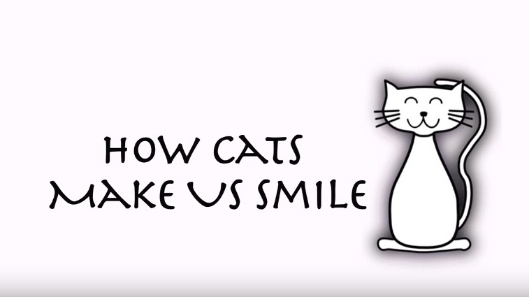 How Cats Make Us Smile