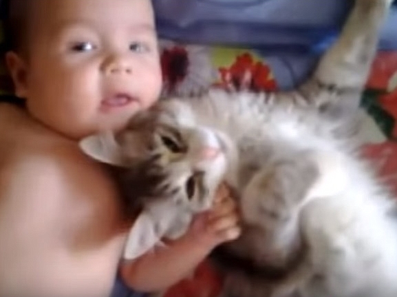 Cute Cat Loves Baby