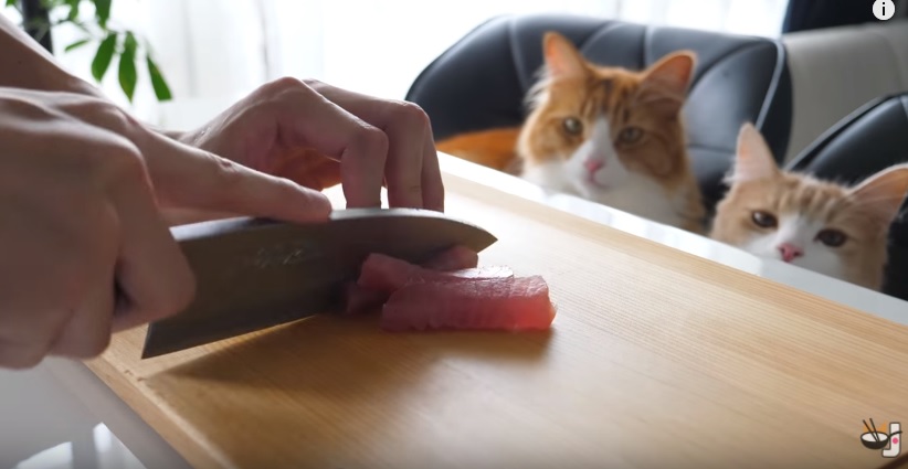 Awesome Guy Cooks Sushi For His Cats