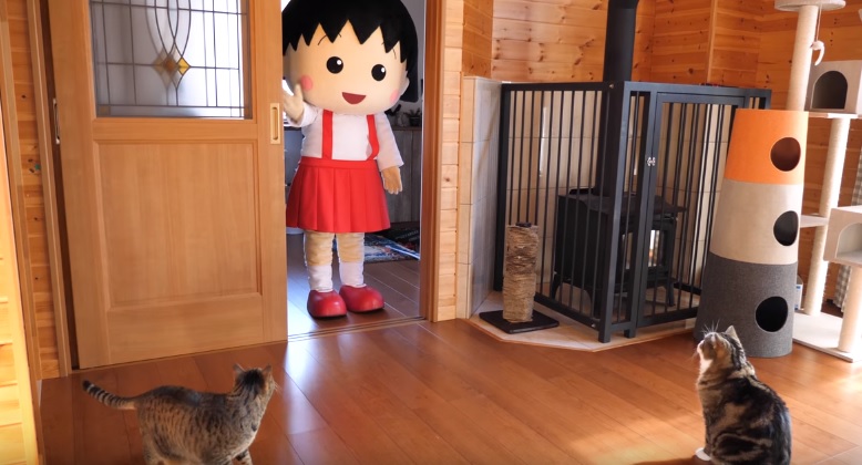 Maru Meets Weird Anime Character