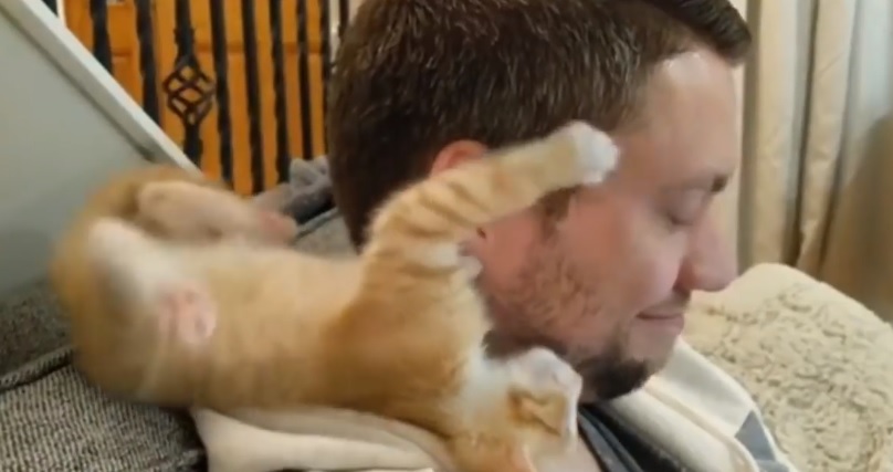 Ginger Kitten Loves His Human