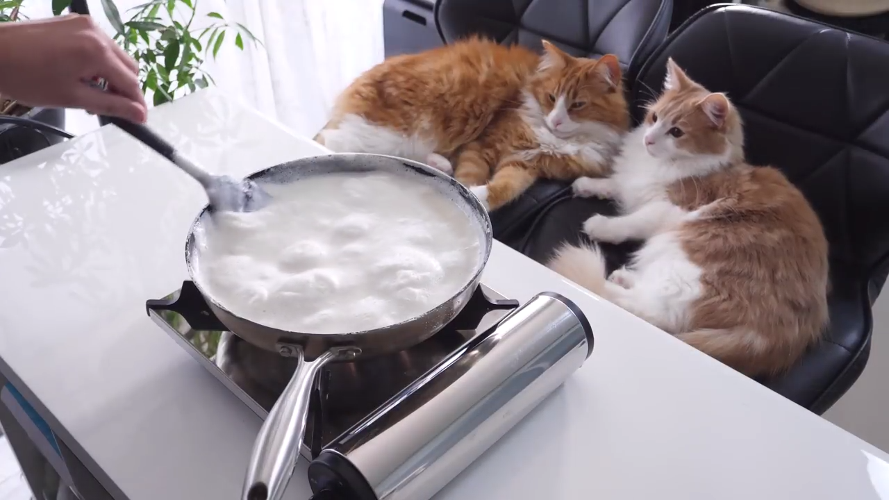 Cooking Homemade Tofu - Jun's Kitchen