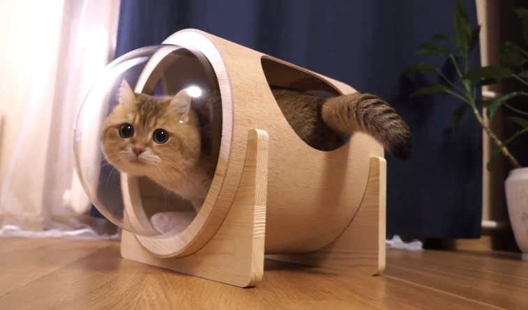 Hosico's Space Station